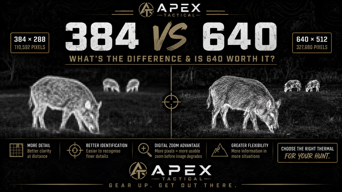 384 vs 640 Thermal: What’s the Difference & Is 640 Worth It?